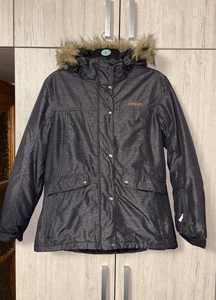 Celsius  куртка курточка зимова лижня термо