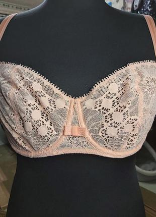 Бюстгалтер,  ліфчик,  ліф чашка d