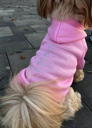 Худі для собак, толстовка з індивідуальним дизайном, handmade одяг для собак, кофта светр для собаки зі стразами, теплий одяг для собак