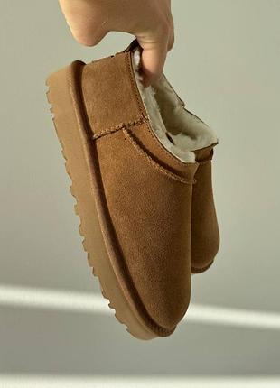 Женские угги ugg classic micro chestnut рыжего цвета