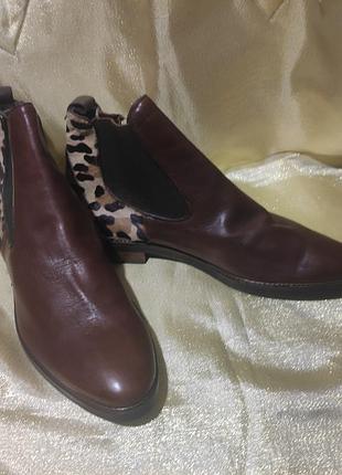 Женские ботинки челси maripe