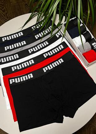 Мужские наборы трусов разные