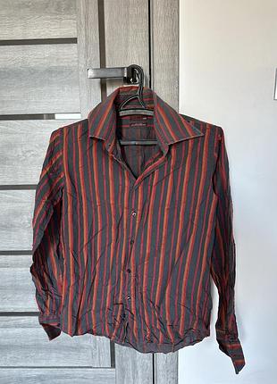 Чоловіча сорочка в смужку zara