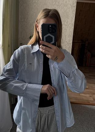 Рубашка в смужку lacoste, сорочка
