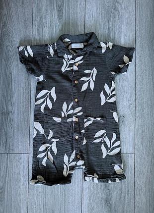 Пісочник фланелевий