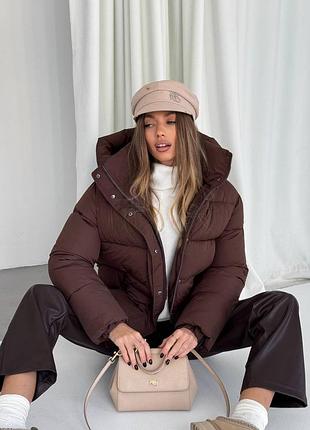 Жіночий теплий базовий пуховик з капюшоном біо пух коричневий синій чорний шоколадний молочний рожевий сірий вишневий бежевий матовий лаковий