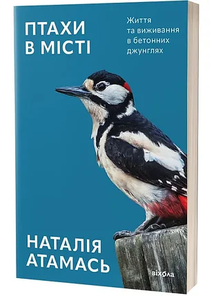 Птицы в городе. жизнь и выживание в бетонных джунглях - вехола