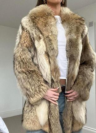 Полярная лиса