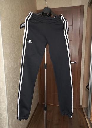 Спортивные штаны адидас adidas