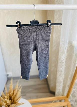 Лосіни лосинки