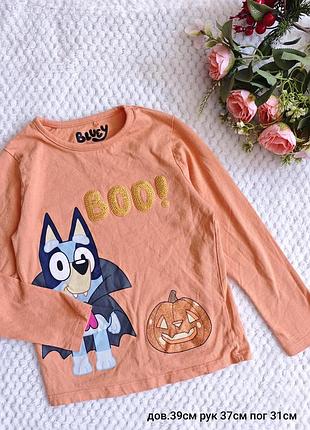 Кофтинка реглан на девочку 104 см