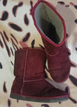 Теплі уги in bluе уги на меху сапожки женские угги зимние