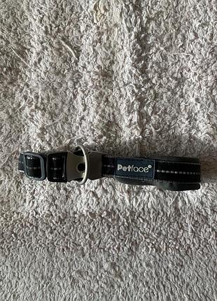 Ошийник для тварин