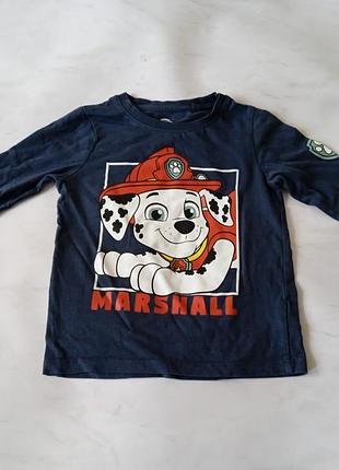 Реглан щенячий патруль