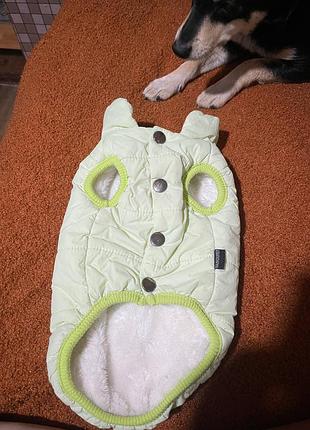 Одяг для собаки