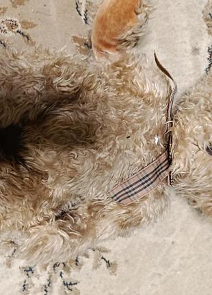 М'яка іграшка