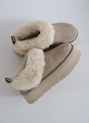 Мюли ugg tazz slipper driftwood  мюлі угги уги