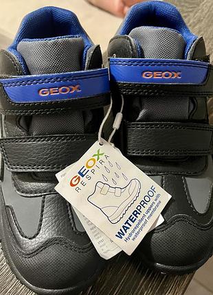 Демісезонні черевики geox