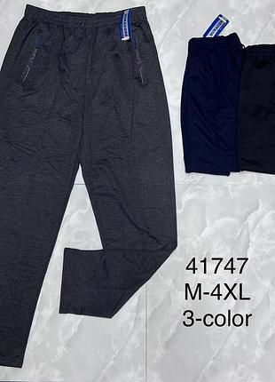 Теплые мужские брюки трехнитка на флисе, размеры до 9xl