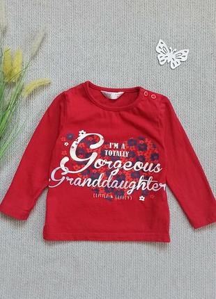 Дитячий реглан лонгслів 9-12 міс регланчик кофточка футболка з довгим рукавом для дівчинки