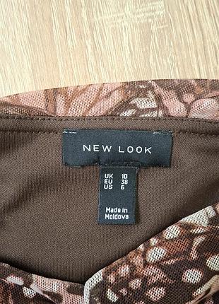 Топ бабочки 5