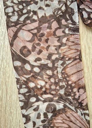 Топ бабочки 4