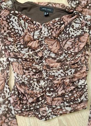 Топ бабочки 3