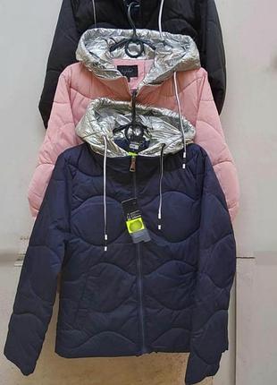 Куртки демисезонные с капюшоном