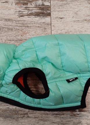 Куртка комбинезон для собак (по спинке 22-27 см)