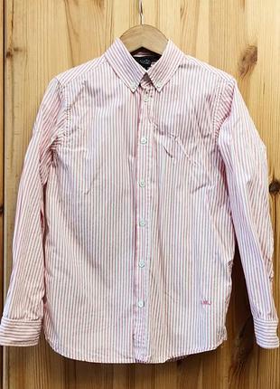 Стильная детская рубашка в розовую полоску на мальчика 128 см (8 лет) little mark jacobs