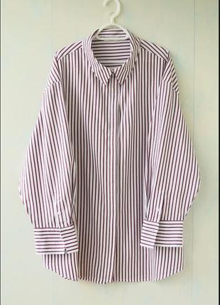 Рубашка в полоску оверсайз george,  хлопок , батал