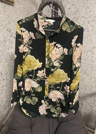 Блуза жіноча