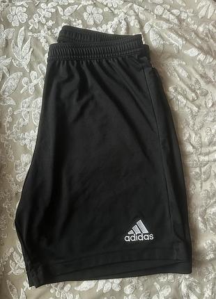 Шорти adidas