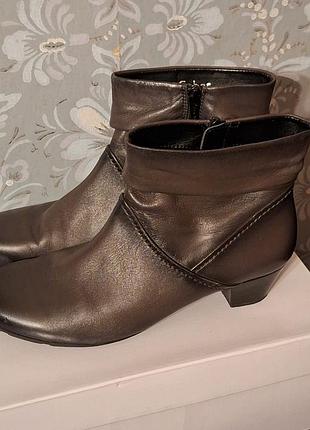 Gabor шкіряні демісезонні черевики, євро-мех