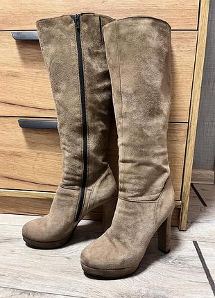Чоботи  жіночі замшеві