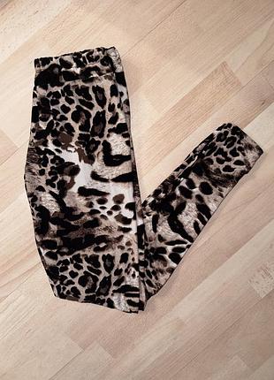 Лосини жіночі з ефектом пуш ап в леопардовому принті.