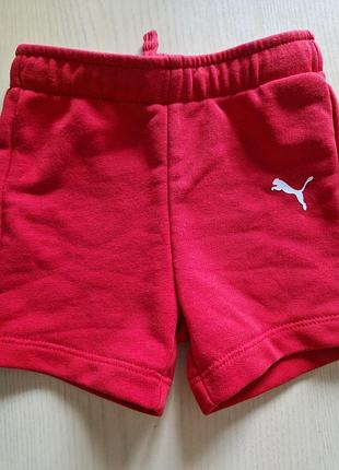 Шорты 2 нить, яркого красного колека,фирменные puma 12 м.9 -12 м. 80 раз.