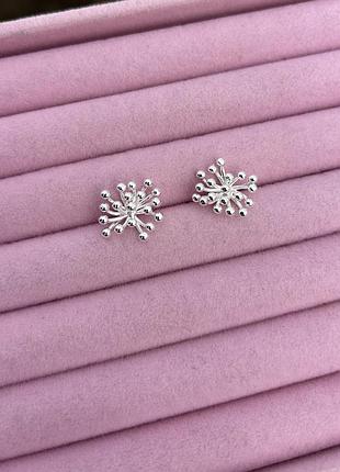 Цікаві сережки срібні з кульками 925