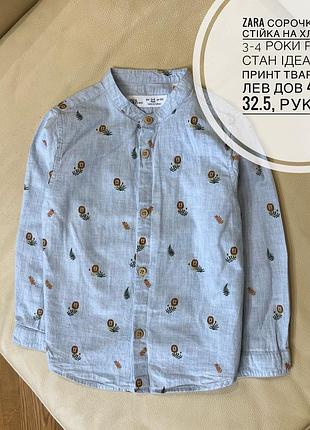 Zara сорочка комір стійка на хлопчика 3-4 роки ріст 104 стан ідеальний принт тваринний, лев дов 41, шир 32.5, рукав 34