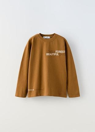 Реглан для парней от zara