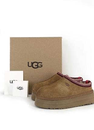 Ugg tasman platform chestnut brown