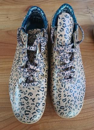 Кросівки бренд відомий