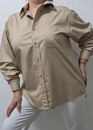 Базовая рубашка/рубашка большого размера george