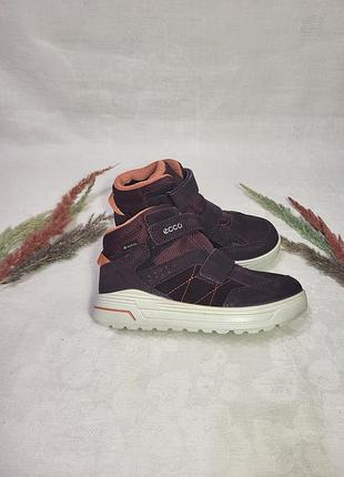 Зимові черевики ecco urban snowboarder gore-tex