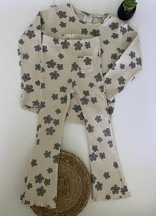 Костюм zara на 4-5 років реглан та лосіни кльош