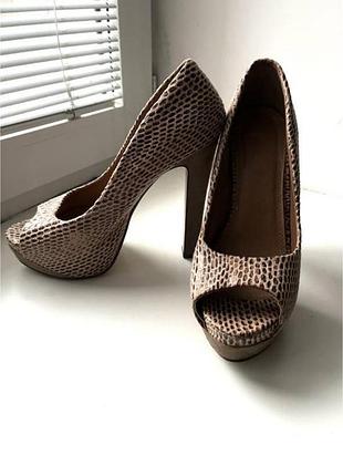 Туфли с змеиным принтом