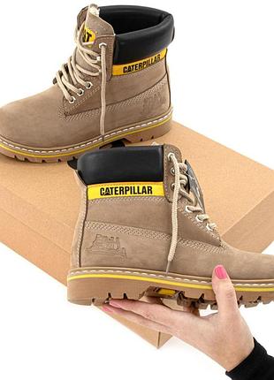 Зимние сапоги caterpillar 5