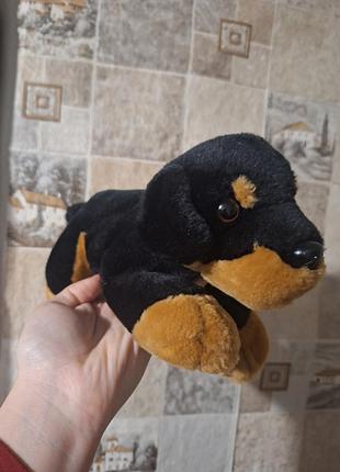 М'яка іграшка собака ротвейлер м'яка іграшка для дітей м'яка іграшка для хлопчика м'яка дитяча іграшка