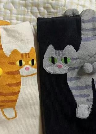 Шкарпетки з котиками