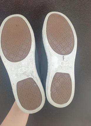 Замшевые кеды ugg6 фото